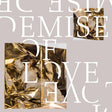 Demise Of Love - Demise of love ep (12-inch maxi-single) - Velvet Music