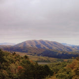 Dirty Projectors + Bjork - Mount Wittenberg Orca (CD)