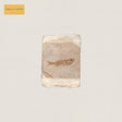 Do Nothing - Friend world (milky clear vinyl) (LP) - Velvet Music