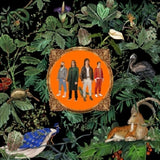 Don Broco - Amazing things (LP) - Velvet Music