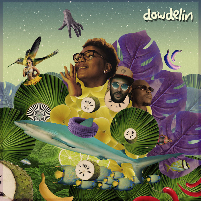 Dowdelin - Carnaval odyssey (CD) - Velvet Music