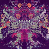 Emilie & Ogden - 10 000 (CD) - Velvet Music