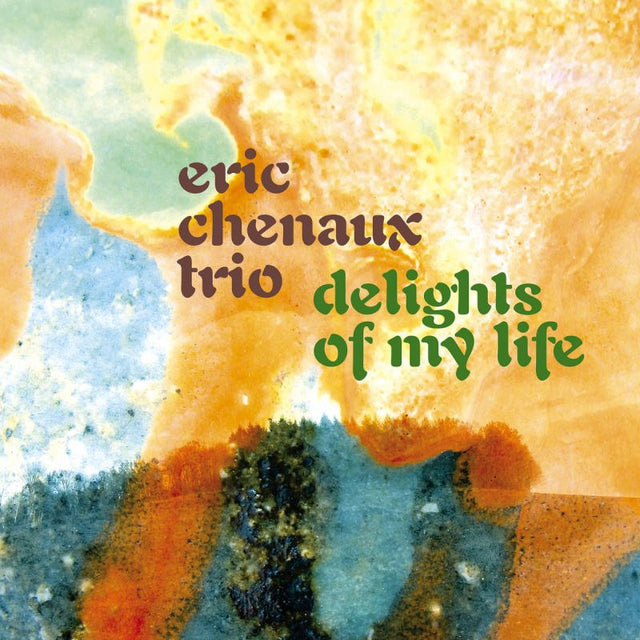 Eric Chenaux Trio - Delights of my life (LP) - Velvet Music