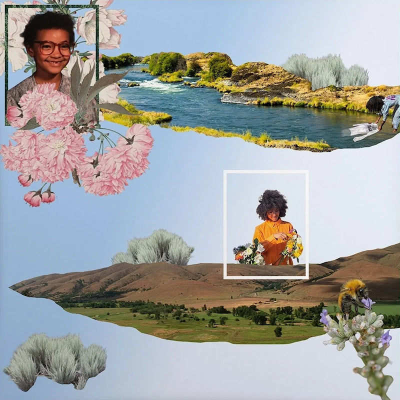 Esperanza Spalding - Esperanza (LP)