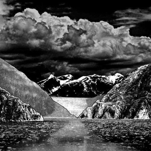 Fjort - Demontage (LP)