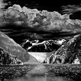 Fjort - Demontage (LP)
