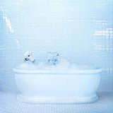 Frankie Cosmos - Vessel (LP)