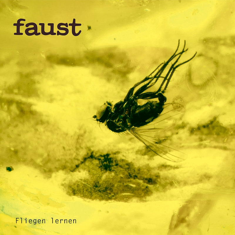 Faust - Fliegen lernen (CD)