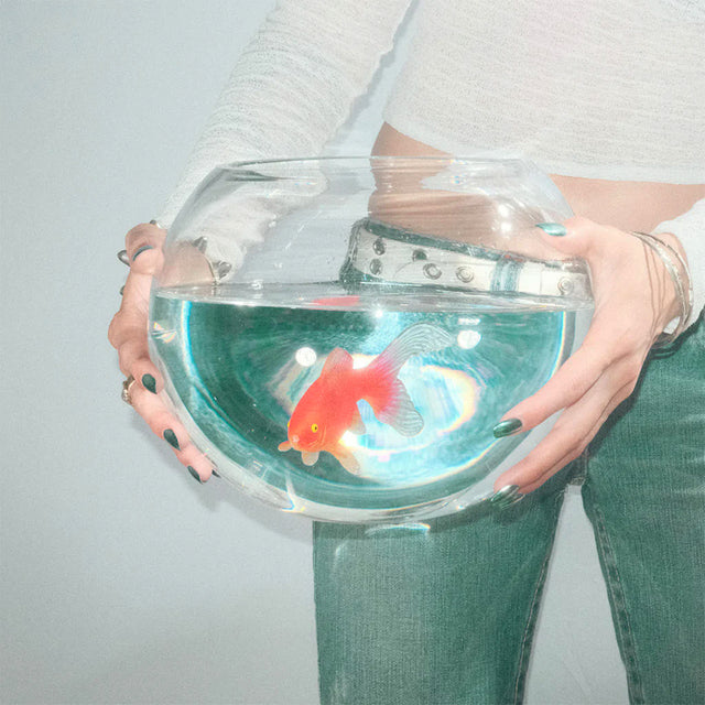 Fish Narc - Frog song (LP) - Velvet Music
