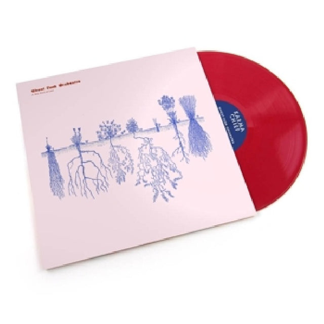 Ghost Funk Orchestra - A new kind of love (LP) - Velvet Music
