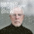 Harald Grosskopf - Glitches brew (CD) - Velvet Music