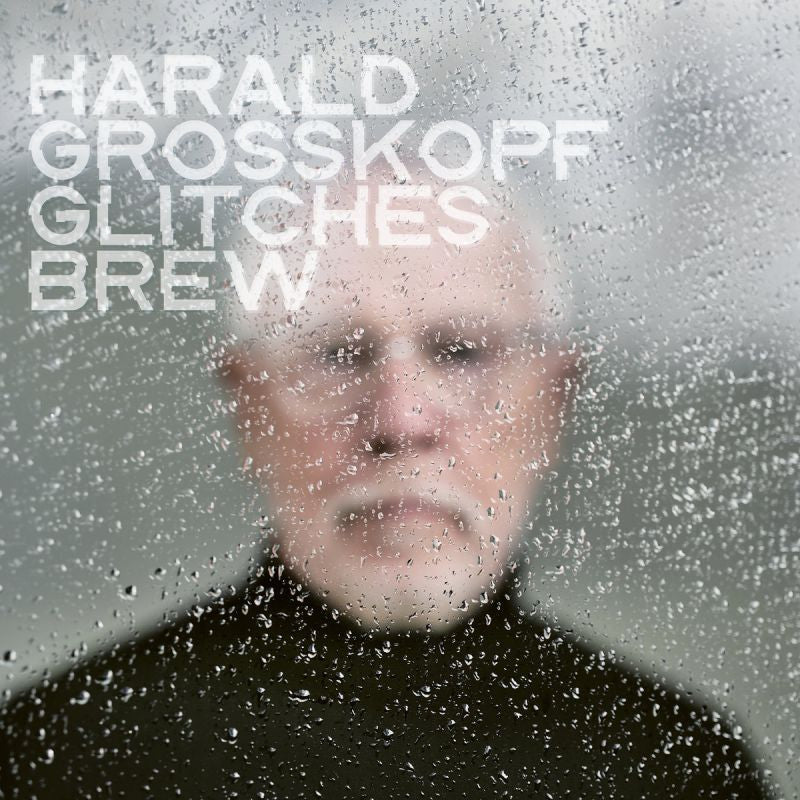 Harald Grosskopf - Glitches brew (CD) - Velvet Music