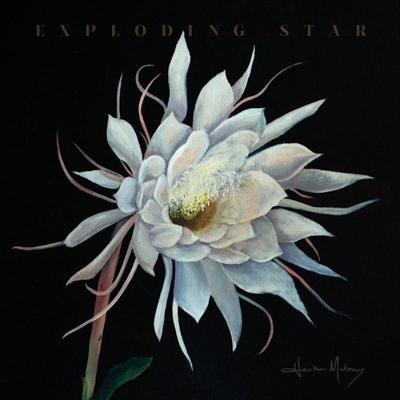 Heather Maloney - Exploding star (LP) - Velvet Music