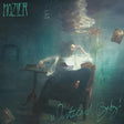 Hozier Wasteland, Baby! LP vinylplaat met albumhoes en artwork, zwart vinyl en kleurrijke cover van de muzikant.