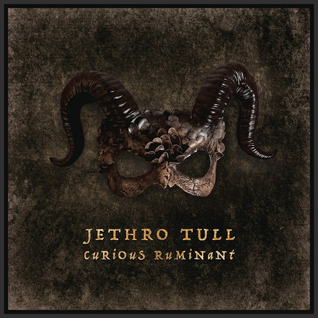 Jethro Tull - Curious ruminant (LP) - Velvet Music