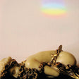 Josephine Foster - No more lamps in the (CD) - Velvet Music