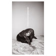 Julia Holter - Materia (CD) - Velvet Music