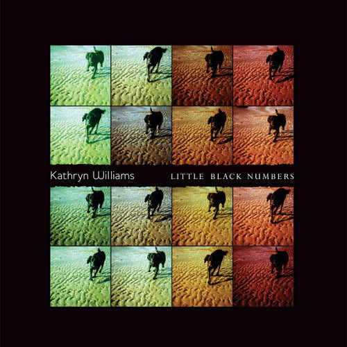 Kathryn Williams - Little black numbers (LP) - Velvet Music