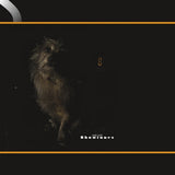 Vinyl LP van Lambchop met Showtunes op de hoes, zwart plat vinyl met kleurrijk artwork voor muziekliefhebbers