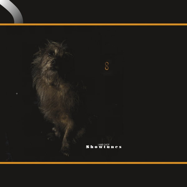 Vinyl LP van Lambchop met Showtunes op de hoes, zwart plat vinyl met kleurrijk artwork voor muziekliefhebbers