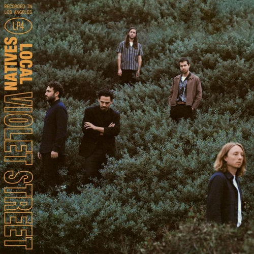 Local Natives - Violet street (CD) - Velvet Music