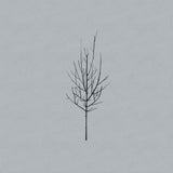 Low - Ones and sixes (CD)