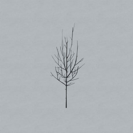 Low - Ones and sixes (CD)