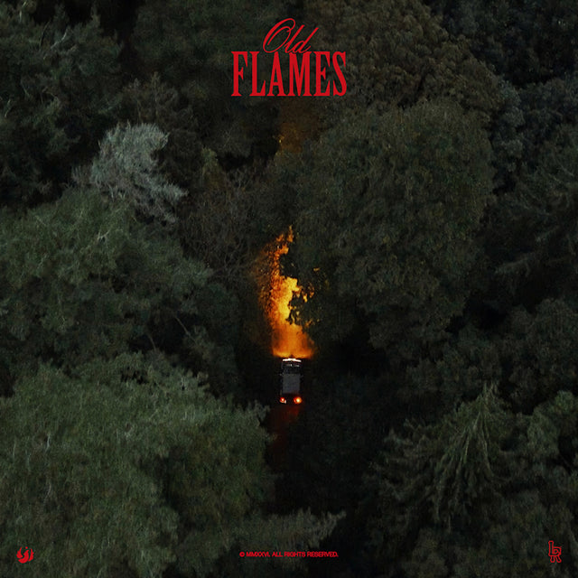 La Roux - Old flames (LP) - Velvet Music
