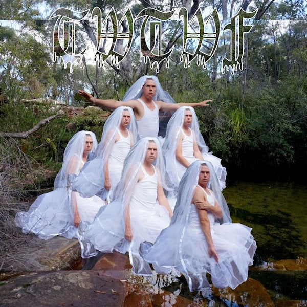 Liars - TWTWF (titles with the word fountain) (LP) - Velvet Music