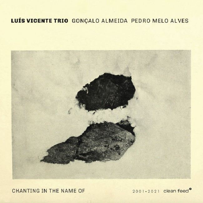 Luís Vicente Trio, Gonçalo Almeida, Pedro Melo Alves - Chanting In The Name Of (tweedehands CD) - Velvet Music