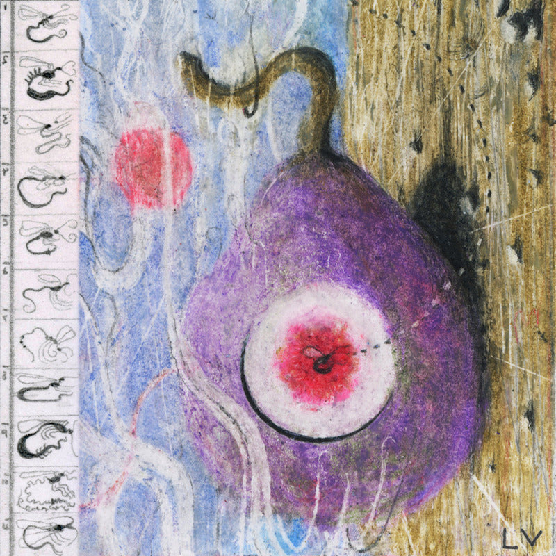Lunar Vacation - Inside every fig is a dead wasp (LP)