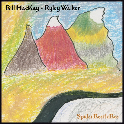 Bill Mackay &amp; Ryley Walker - Spiderbeetlebee (CD)