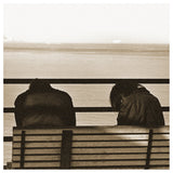 Metz - Ii (LP) - Velvet Music
