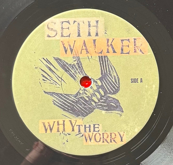 Seth Walker (3) - Why The Worry (CD) - Velvet Music