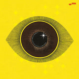 Meshell Ndegeocello - No More Water: The Gospel of James Baldwin (LP)