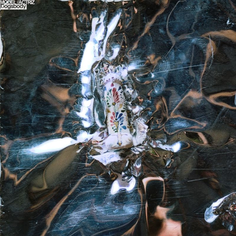 Model /actress - Dogsbody (LP)