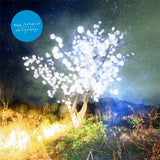 The Notwist - Vertigo days (CD)