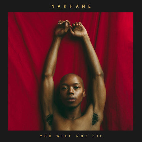 Nakhane - You will not die (LP) - Velvet Music