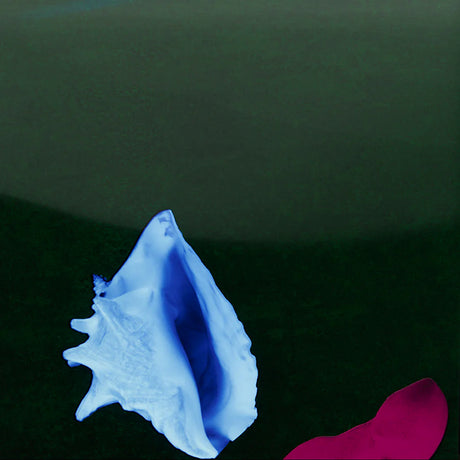 New Order - Touched by the hand of god (12-inch maxi-single)