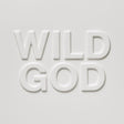 Nick Cave & The Bad Seeds - Wild God (LP) - Velvet Music