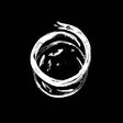 Okkultokrati - Snake reigns (LP) - Velvet Music