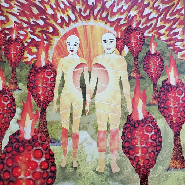 Of Montreal - Sunlandic twins (LP) - Velvet Music