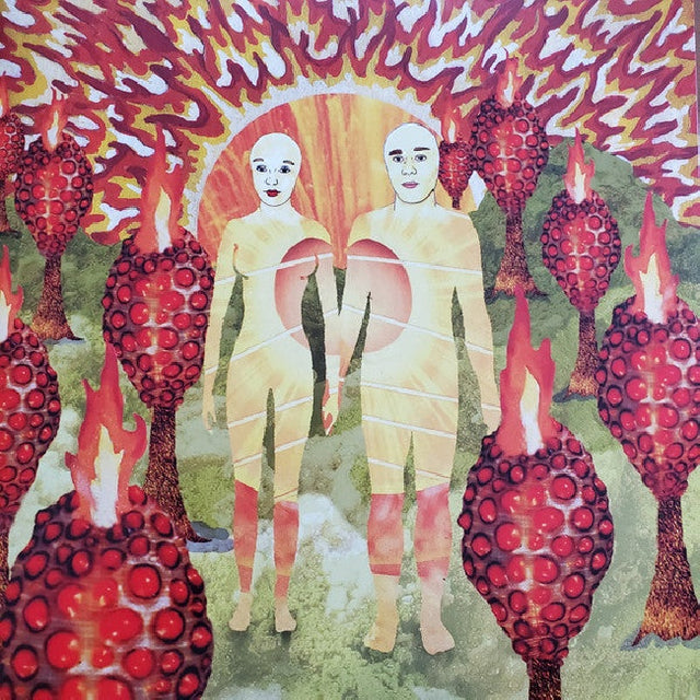 Of Montreal - Sunlandic twins (LP) - Velvet Music