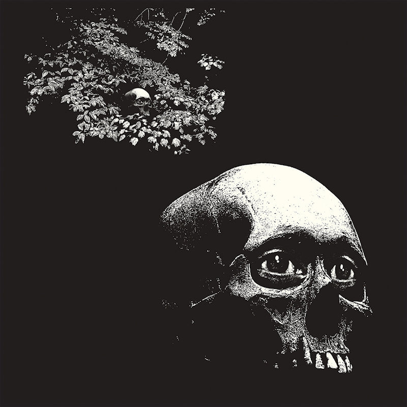 Osees - A foul form (CD)