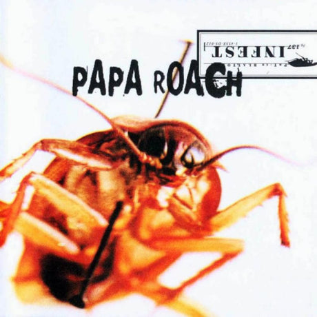 CD van Papa Roach met het album Infest, zwart met kleurrijke artwork op de voorkant, zichtbaar in de afbeelding.