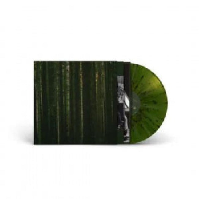 Paper Kites - Evergreen (LP) - Velvet Music