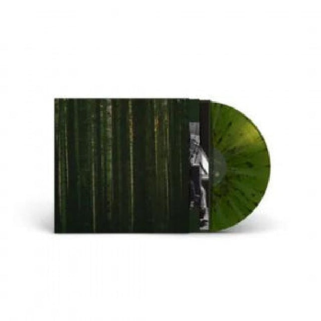 Paper Kites - Evergreen (LP) - Velvet Music