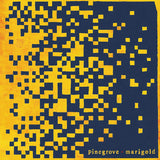 Pinegrove - Marigold (LP) - Velvet Music
