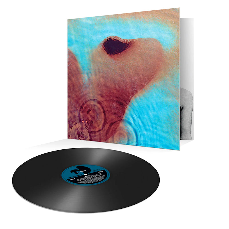 Pink Floyd - Meddle (LP) - Velvet Music