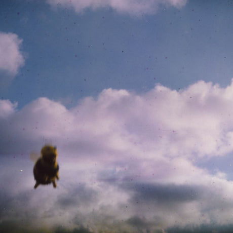 Pond - Stung! -splatter bee vinyl- (LP)